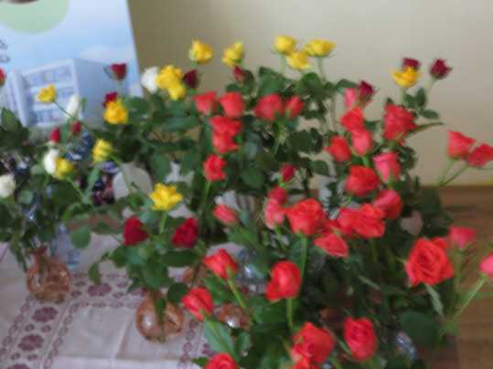 mIMG_3655