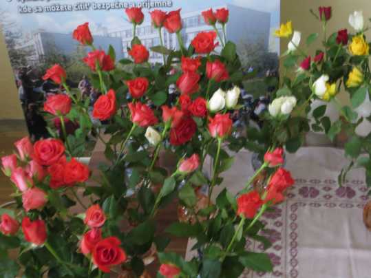mIMG_3656
